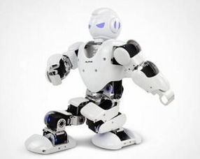 阿尔法人形机器人为中国机器人史再添一笔